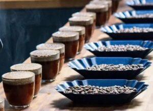 cupping score
