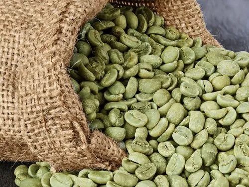 Harga Kopi Mentah Tembus Rekor di 2025, Ini Penyebabnya!