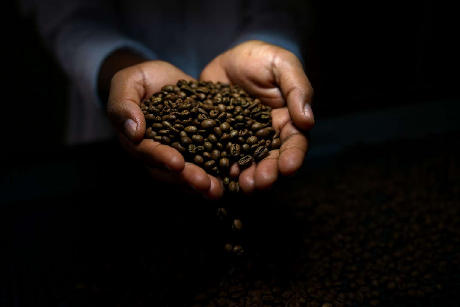 Harga Kopi Global & Lokal 2025: Lonjakan, Fluktuasi, dan Dampaknya ke Indonesia